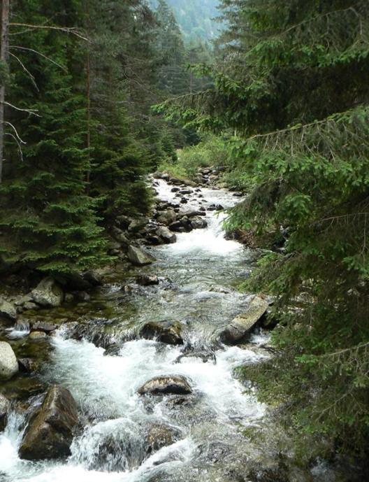 Eagle Rock View Apartment, Borovets Beli Iskar Exterior foto